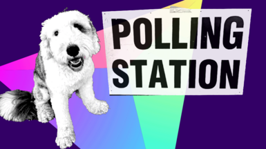 An Old English Sheep Dog next to a sign that reads "Polling Station"