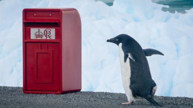 A red post box bearing the crest of King Charles III is sitting on a rocky outcrop with snow in the background. A penguin is standing beside the box.
