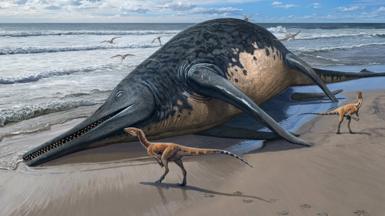 Artist impression of the giant ichthyosaur