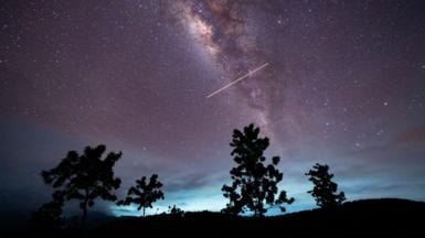 a view of the Eta Aquarid meteor shower in a starry night sky with four trees silhouetted 