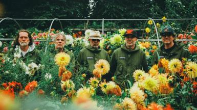 Super Furry Animals