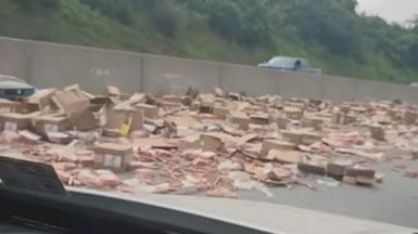 Cardboad boxes and hot dogs are littered across a US highway.