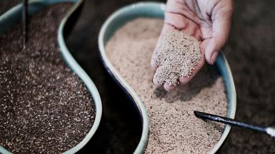 A hand holding out chia seeds out of a bowl