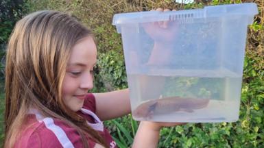 A young girl in a red top is holding up a plastic container with a small amphibian in it