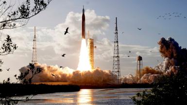 A rocket blasts into space, leaving behind a trail of smoke and fire. Birds circling in the foreground with branch and lake details.