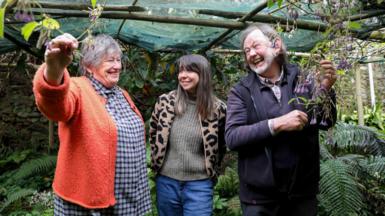 Sue, Bleddyn a Meinir