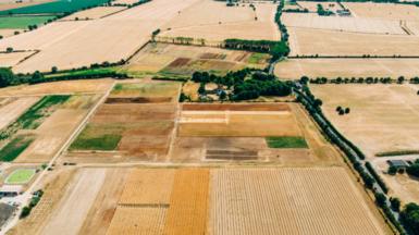 An aerial view of dead (yellow) fields during a drought