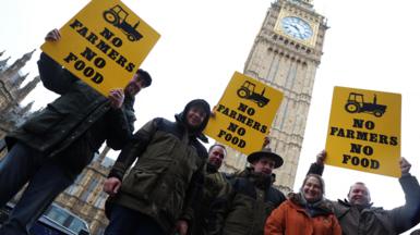 A group of farmers holding yellow signs that say 'no farmers no food' in black stand outside Big Ben. 