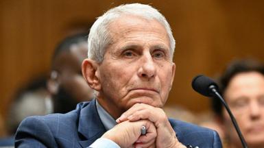 Anthony Fauci at Wednesday's hearing