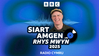Rhys Mwyn