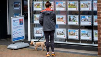 A woman walking her dog stands outside of an estate agent's window looking at prices