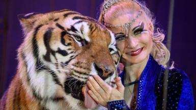 A woman smiles next to a tiger as it licks the palm of her hand