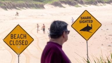 A man stands next to warning signs in place, and beaches are closed after a surfer suffered a shark attack today at Dee Why Beach in Sydney