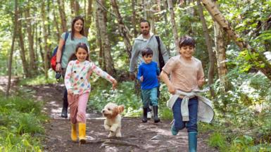 A wide, front view angle shot of a family and their dog walking through a woodland forest in Northumberland, Northeastern England during the Covid-19 pandemic.