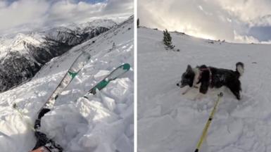 Skier swept by avalanche and dog seen in distance