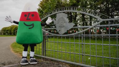 Mr Urdd