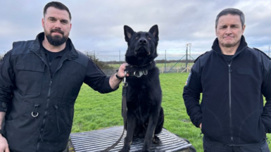 Ci heddlu gyda dau swyddog