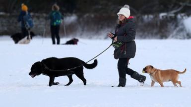 A woman walks dogs in heavy snow in Stonehaven, Scotland