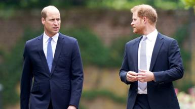 The Prince of Wales looks towards the Duke of Sussex. Both are wearing blue suits and ties.
