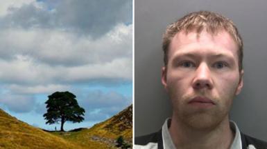 Two images. On the left is the Sycamore Gap tree standing in a dip in the hill with clouds above it. On the right is a mugshot of Adam Carruthers who is looking into the camera with a straight face. He has blonde, short hair and stubble on his jaw.