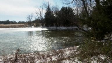Close up of a pond which has layers of ice over parts of it