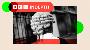 Barrister wearing a wig and gown