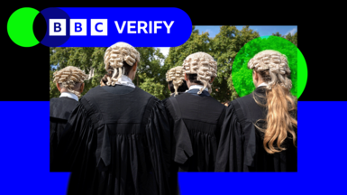 BBC Verify-branded image showing five barristers, both male and female, facing away from the camera wearing wigs and black robes.