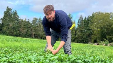 Matthew Charlton teaches at a prestigious university - when he is not growing watercress