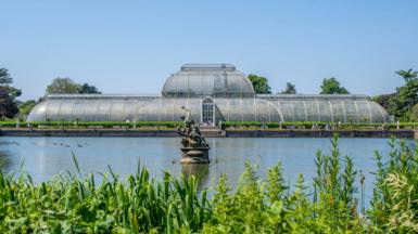 The Palm House at the Royal Botanic Gardens Kew. A large building made of iron and glass overlooks the lake  and foliage. 