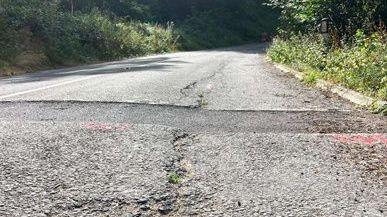 A close-up picture of a road with a crack all the way down the middle of it. There is shrubbery on the verges on either side of the road.