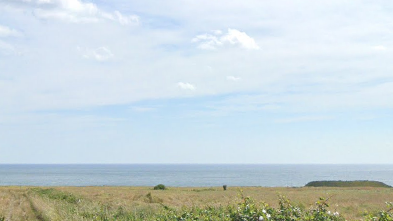 Whitburn cliffs 