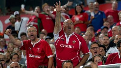 Wales fans