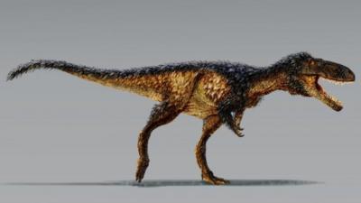 tyrannosaur