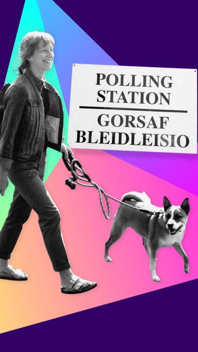 A designed image of a young woman walking her dog next to a polling station sign in English and Welsh.