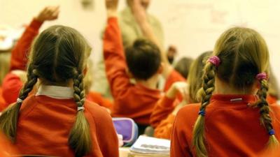 Primary school children raise their hands in class