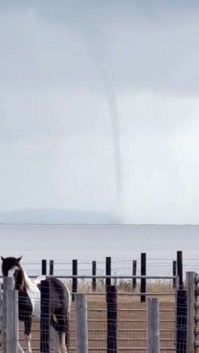 A waterspout over a body of water seen in the distance, stretching up to the sky. In the foreground, a horse is facing the camera in a paddock