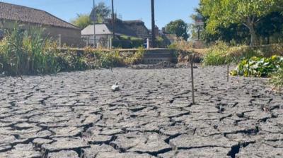 Dried up pond