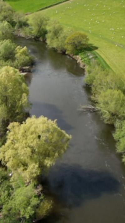 A drone shot of a river with green trees and fields on either side