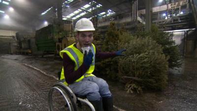 Martin with Christmas trees