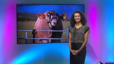 Nina on the Newsround set