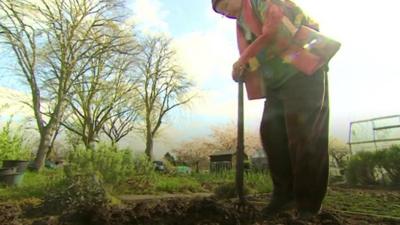 Gardeners have grown vegetables at the site for 120 years.