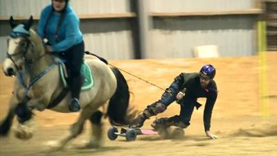 Horseboarding