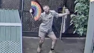 Dancing zookeeper waves a fan around during a livestream at Melbourne Zoo