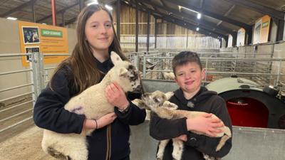 Maddie and Max holding a lamb each 