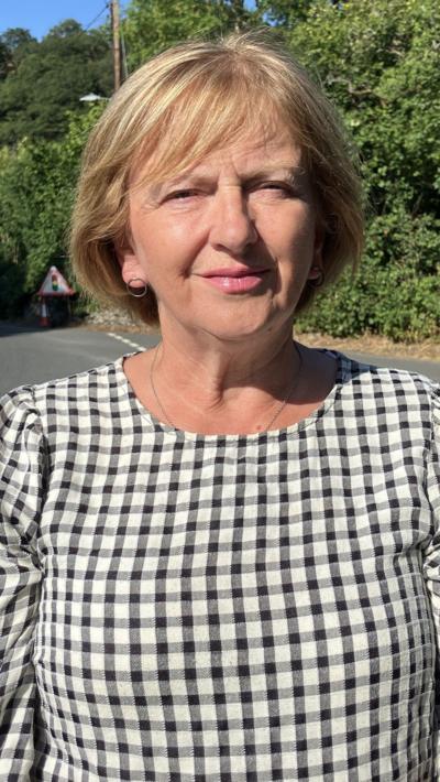 Gwennol Ellis