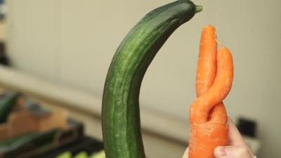 Cucumber and carrot