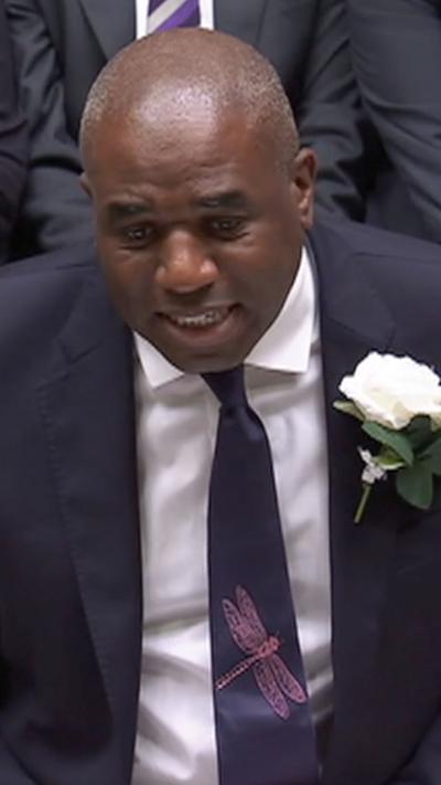 David lammy