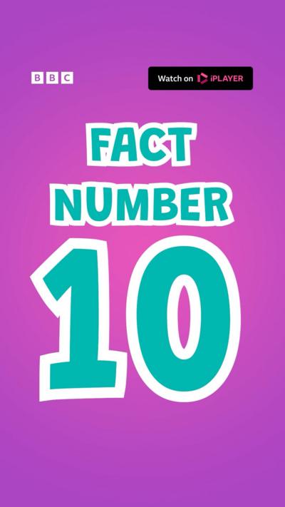 Fact Number 10