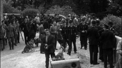 Crowds of police with dogs gather at Shooters Hill.