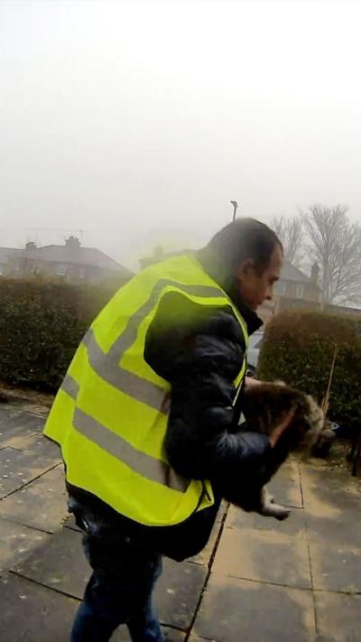 A man in a hi-vis jacket holding a cat